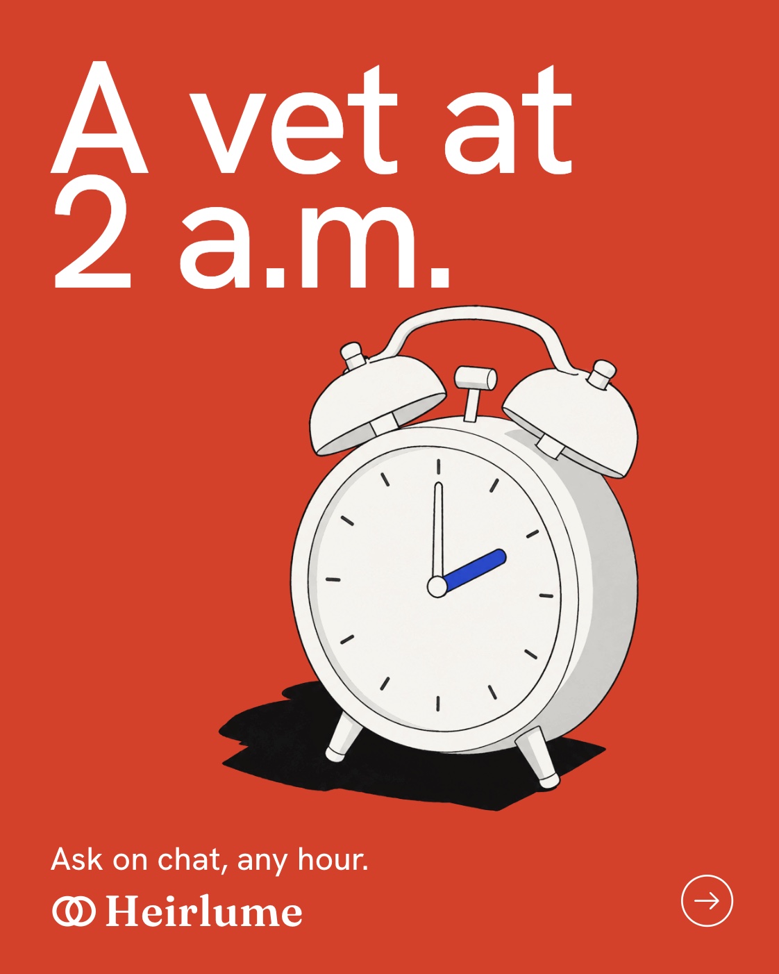 A vet at 2 a.m.: an alarm clock at two