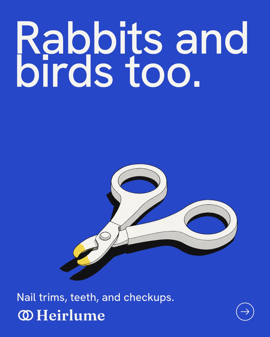 Rabbits and birds too: small nail clippers with royal blue tips