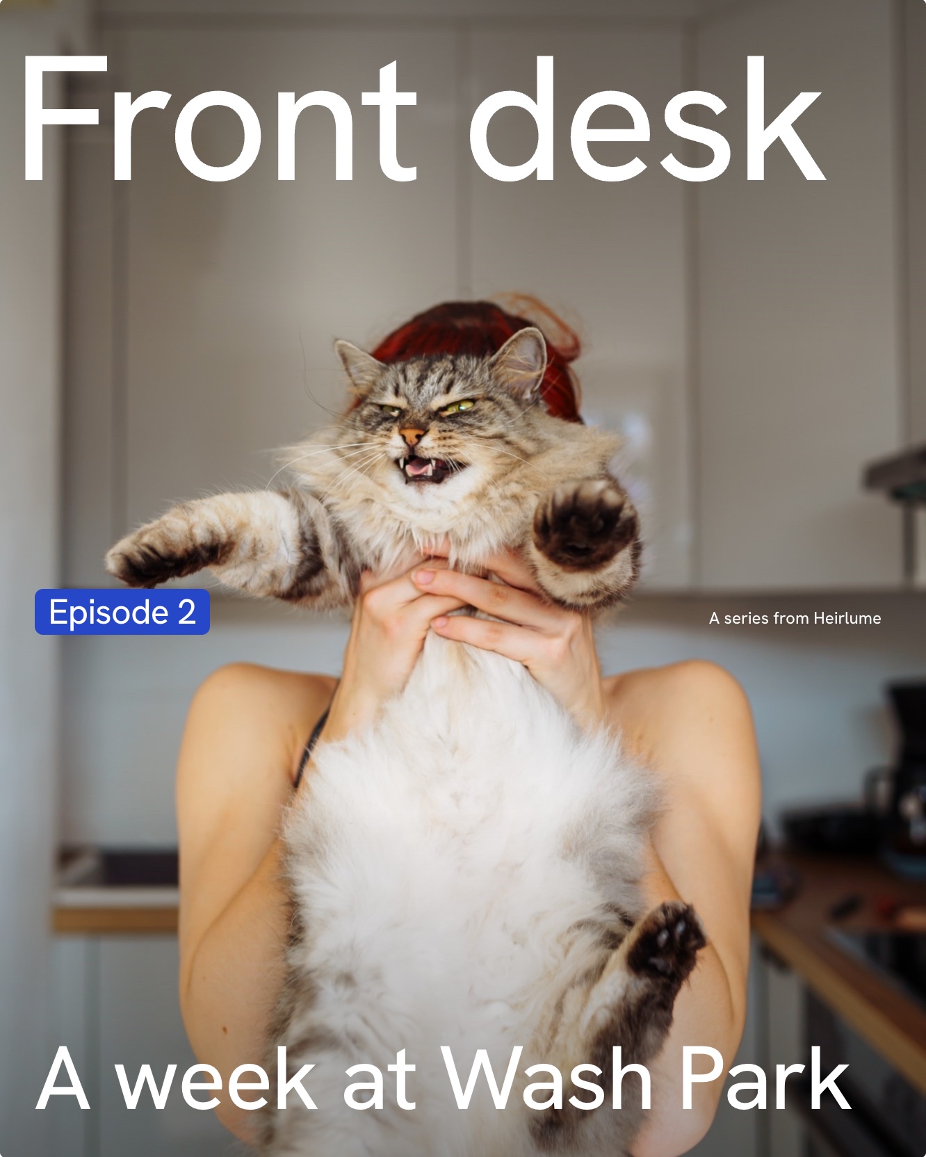 Front desk, a week at Wash Park, over a cat held up in a kitchen